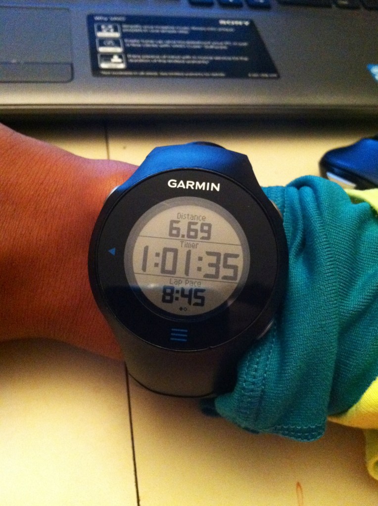 Garmin 610